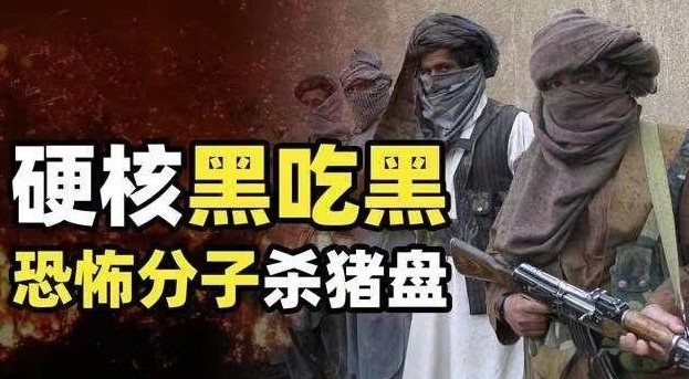 在2016年，中国一名年轻小伙袁某冒充军事专家，竟然成功骗取了恐怖分子15万美元