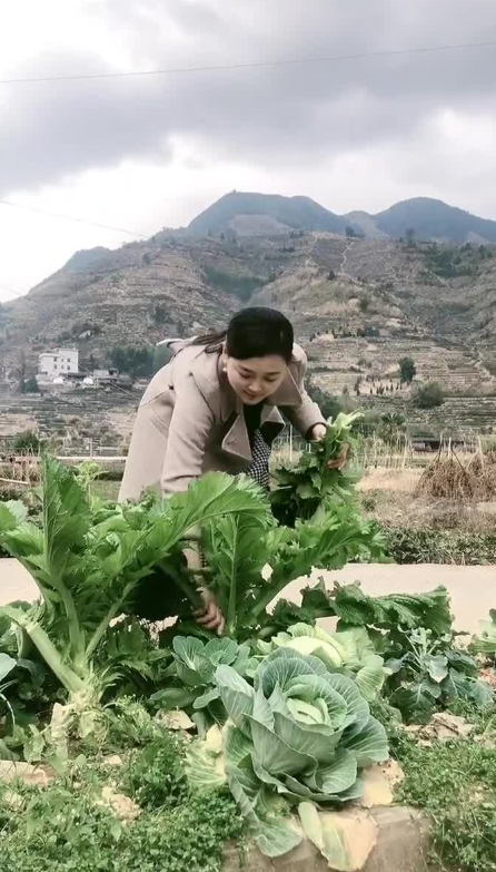 56岁大爷爱上卖淫女，因用力过猛女子不断求饶，结果还是悲剧了。

那天夜里，王大