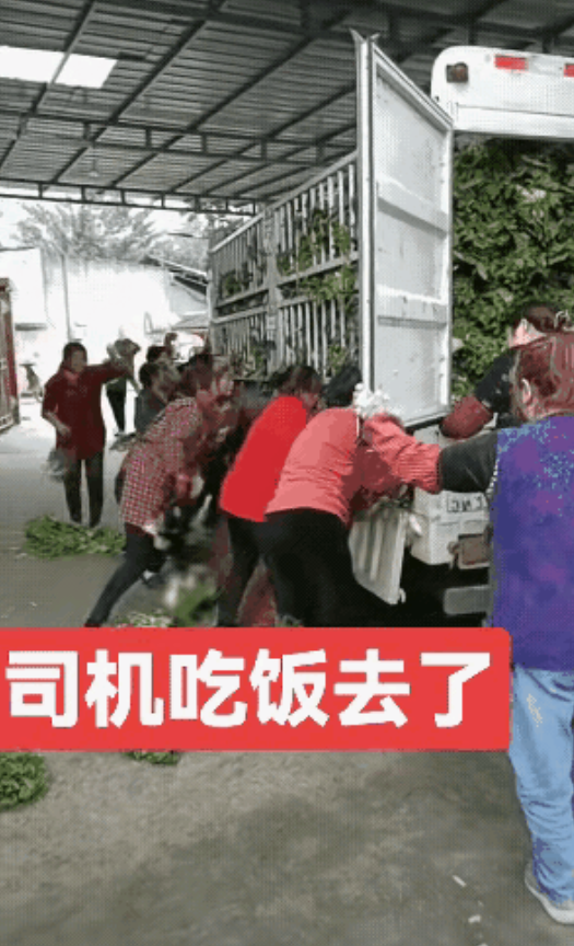 一辆运输蔬菜的汽车停泊在无人看管的车棚下，未完成交货手续，司机因肚子饿到附近餐厅