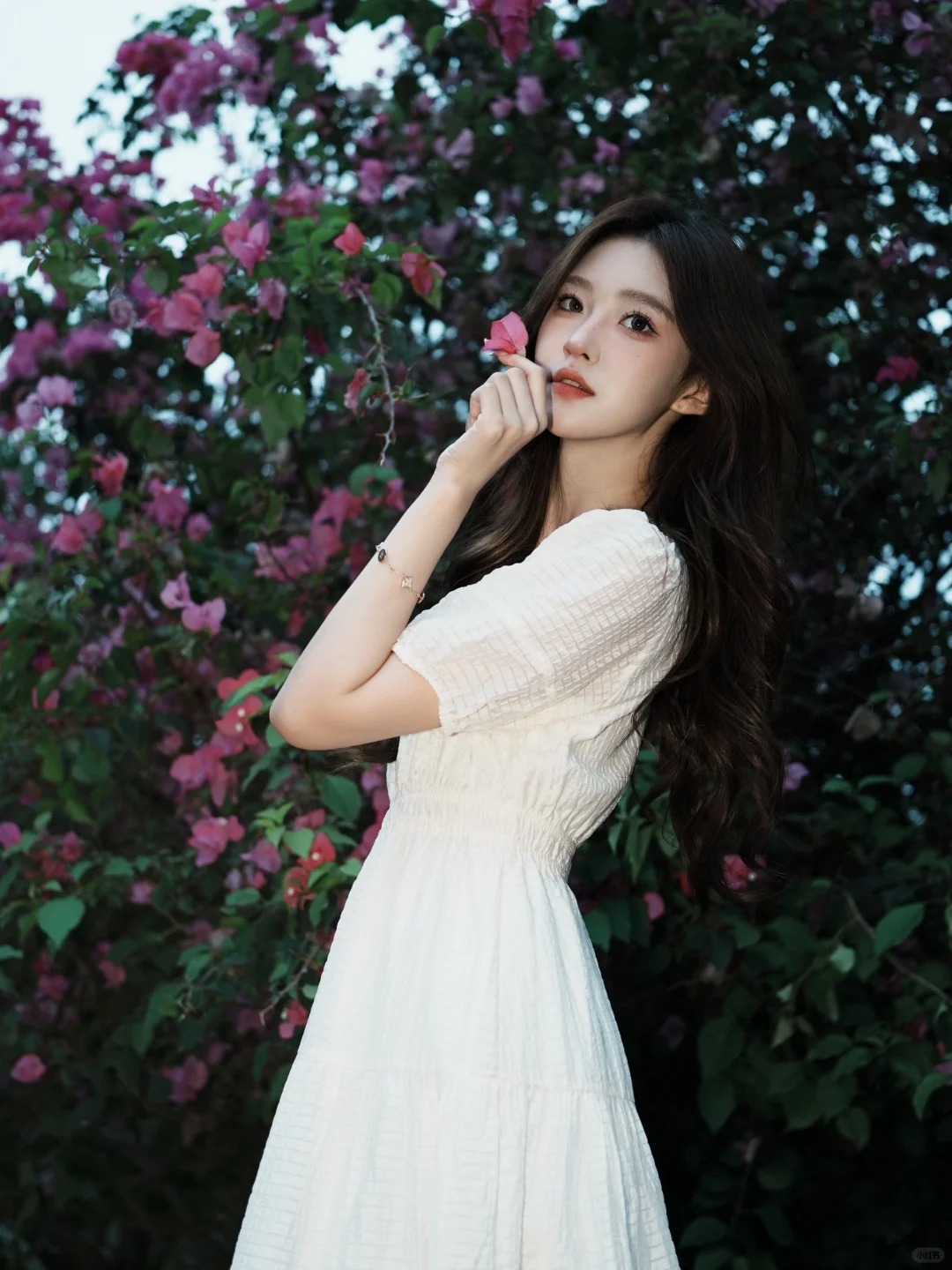 存一些春夏拍花花姿势🌸
去晚了三角梅都少少的
拍着拍着天都要黑了所以只出了几张