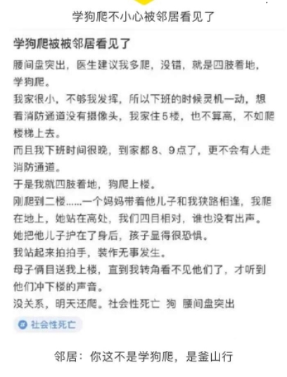 学狗爬不小心被邻居看见了