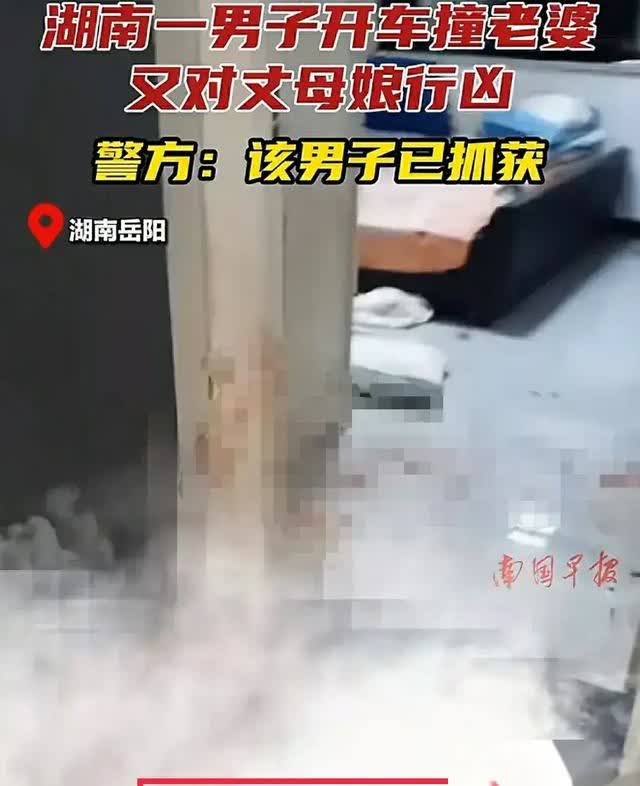 7 月 31 日晚 11 点左右，湖南岳阳柏祥镇一男子因家庭矛盾持刀砍伤妻子和丈