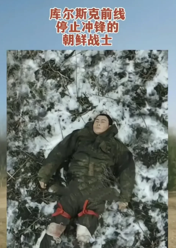 在库尔斯克前线，朝鲜特种兵战士发起了冲锋，他们停止了冲锋，他们的尸体遍布整个冲锋