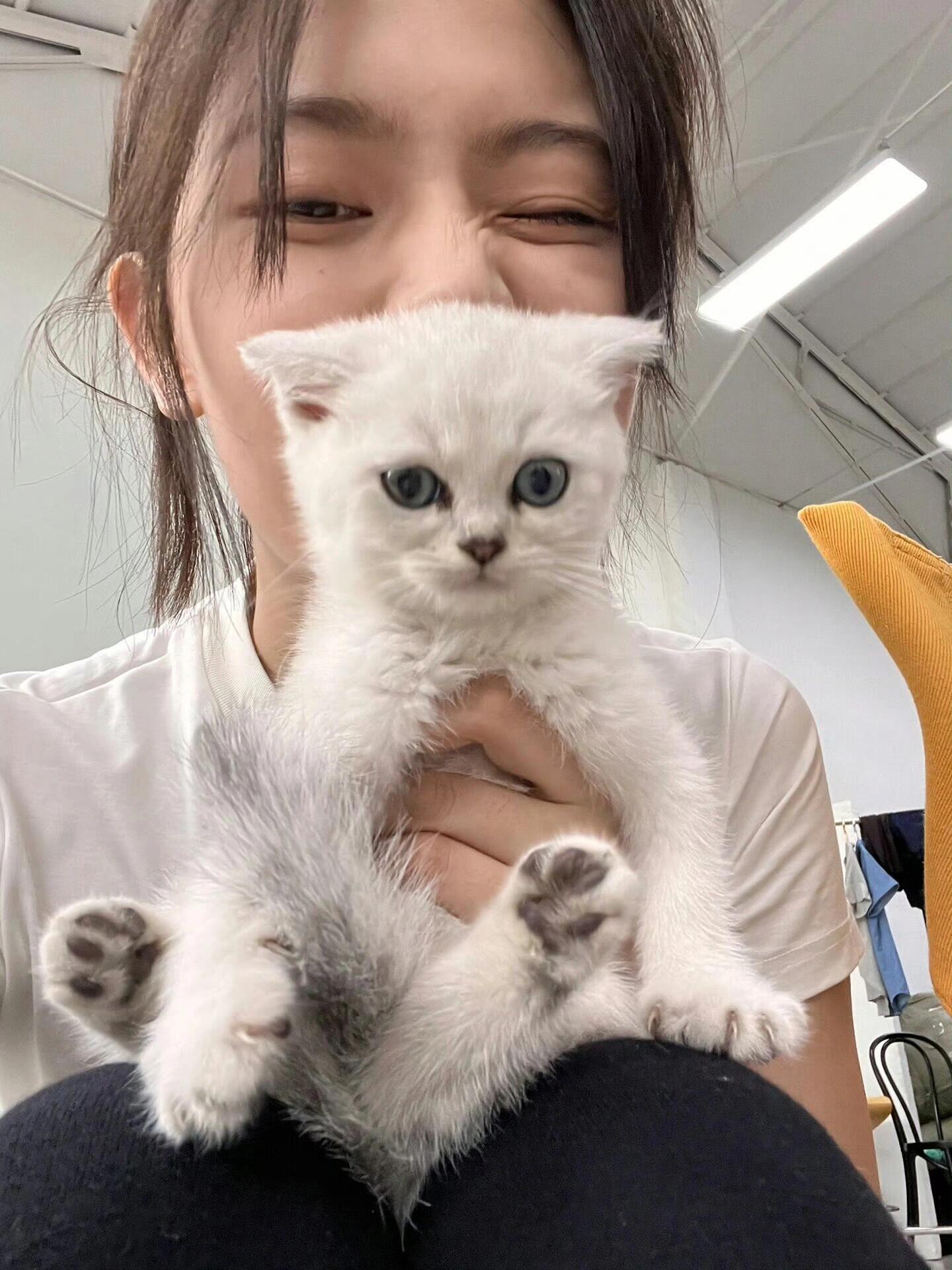 赵佳丽毫不费力的美丽
