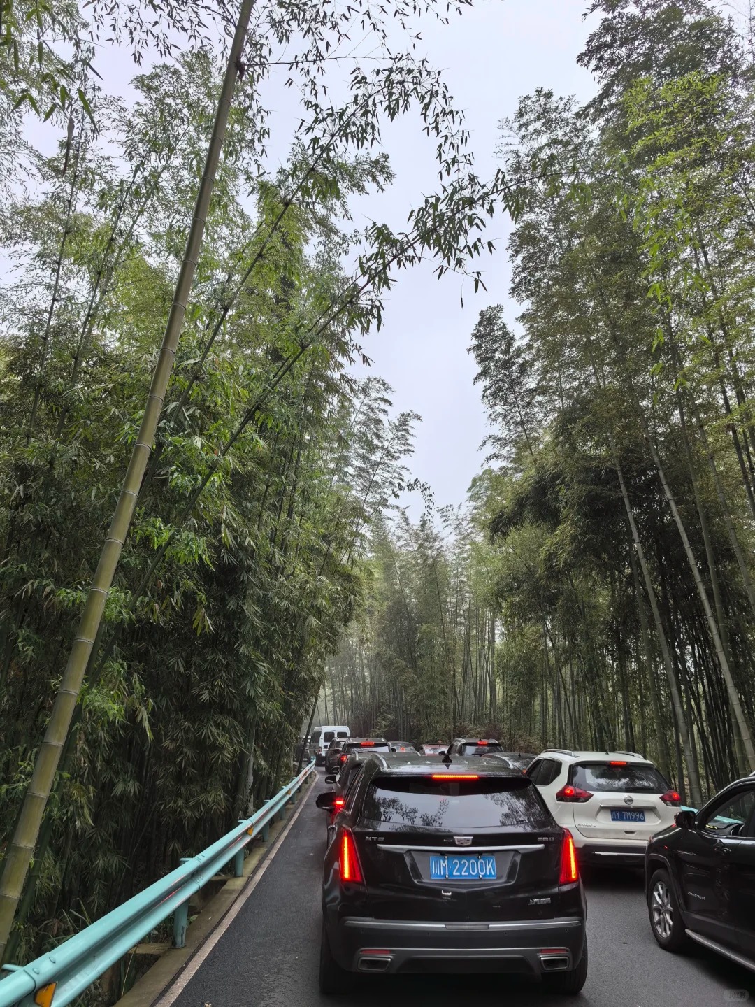 蜀南竹海再也不来了，除了吃饭全程在堵车！
#蜀南竹海 退钱！退钱！来了5个小时，