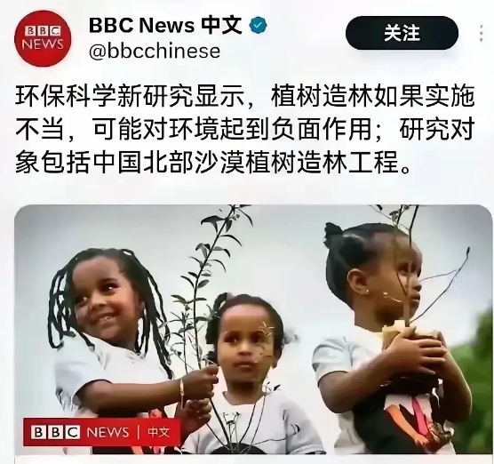 西方媒体竟然指责中国沙漠植树造林工程！