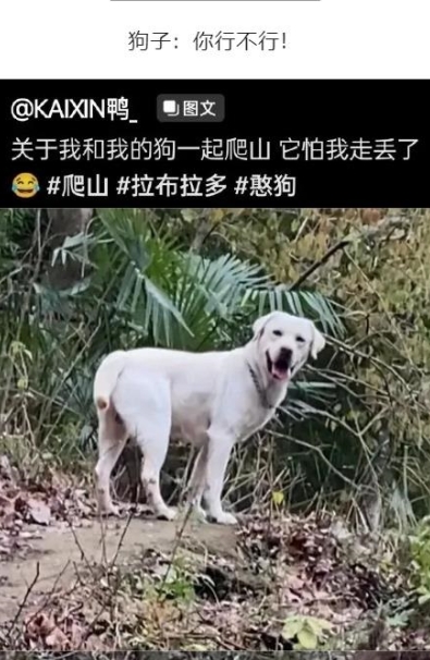 狗子：你行不行