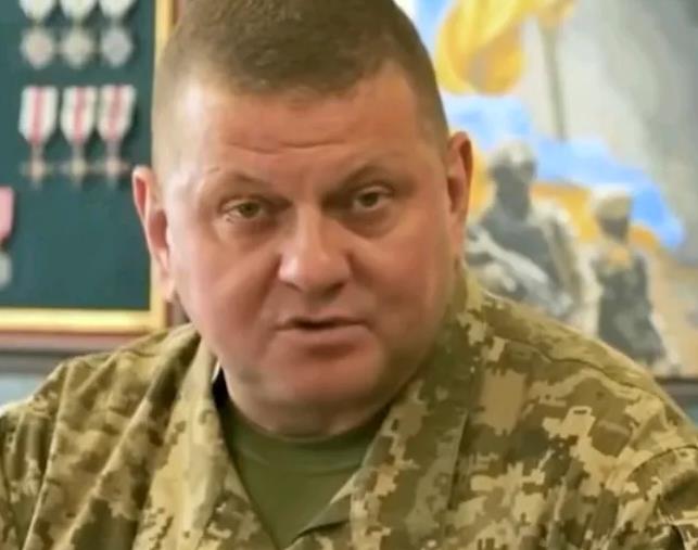 乌克兰候选总统的政治明星为表示爱国，为了祖国坚决反对战时大选？

网传以三科一内