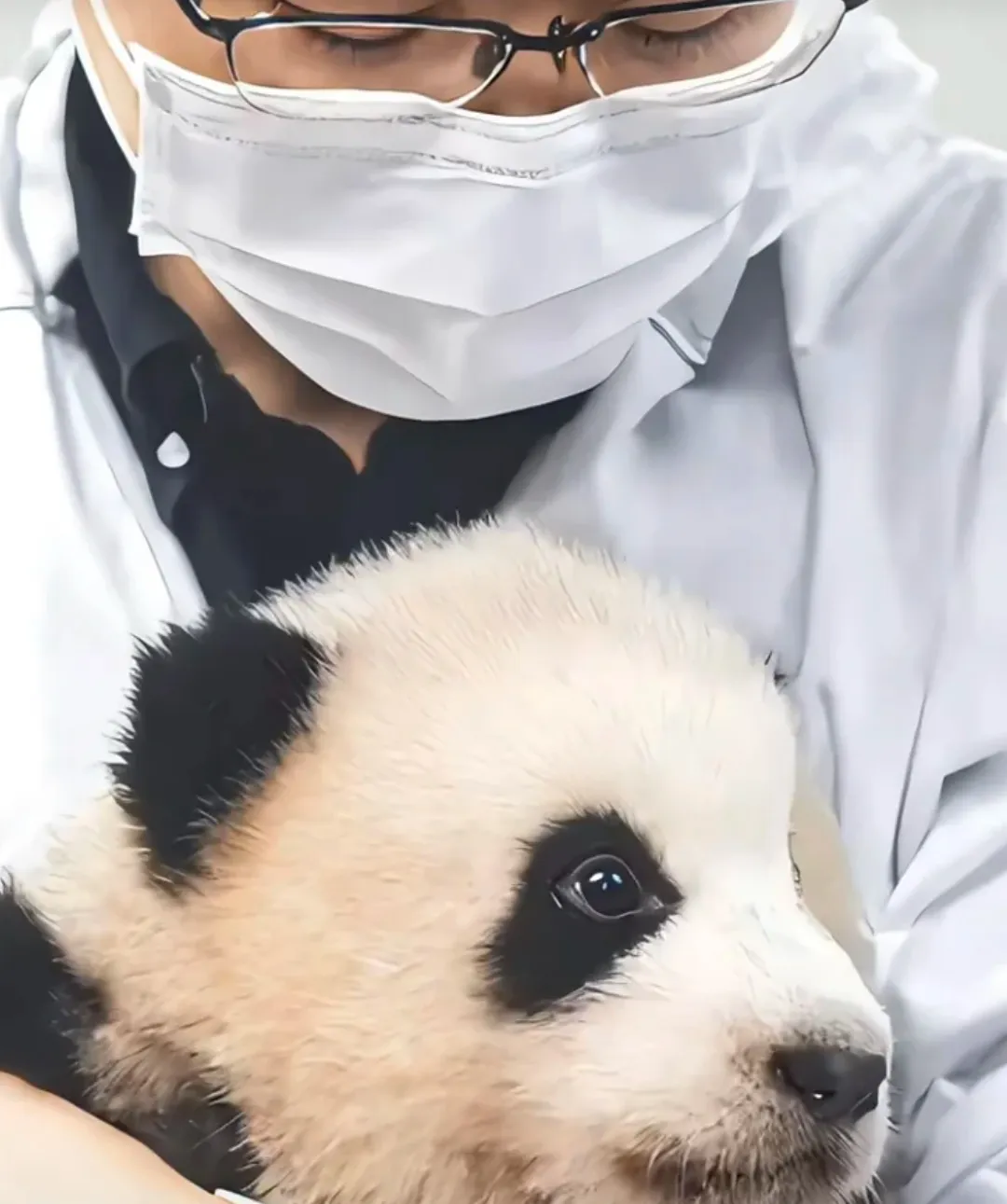 福宝要幸福啊！

最稳“接生婆