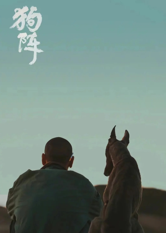 狗阵：我们是同类，却还是要独自往前走