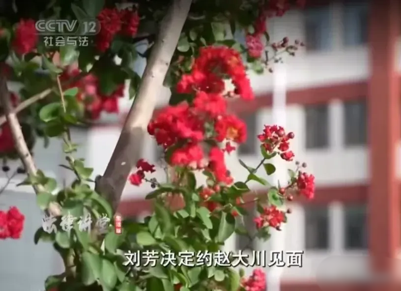 “这就是婚外情的下场！”女子怀疑丈夫有情人，出于报复，跟丈夫下属也发展为情人关系