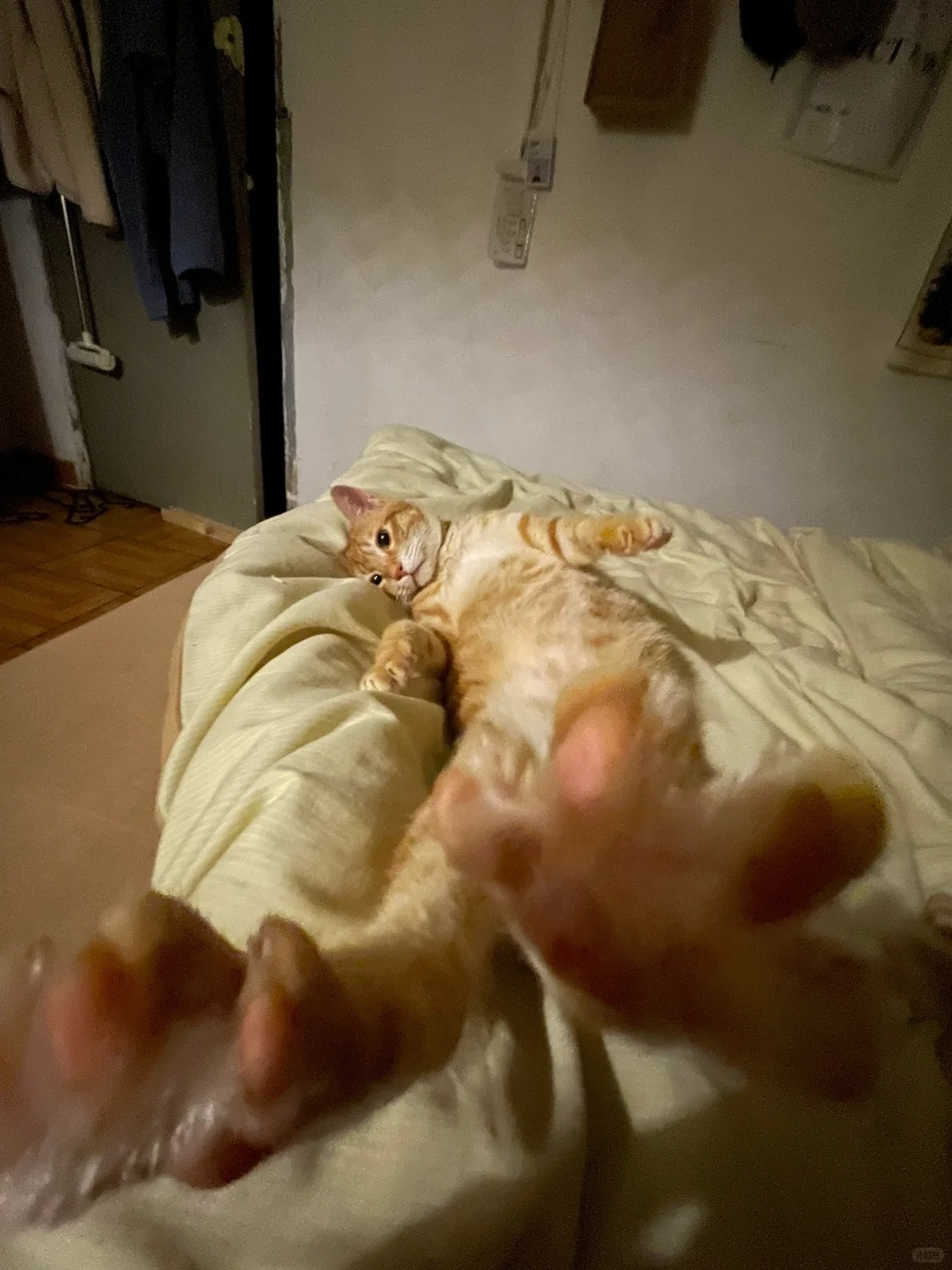 那样的事…不可以啊……