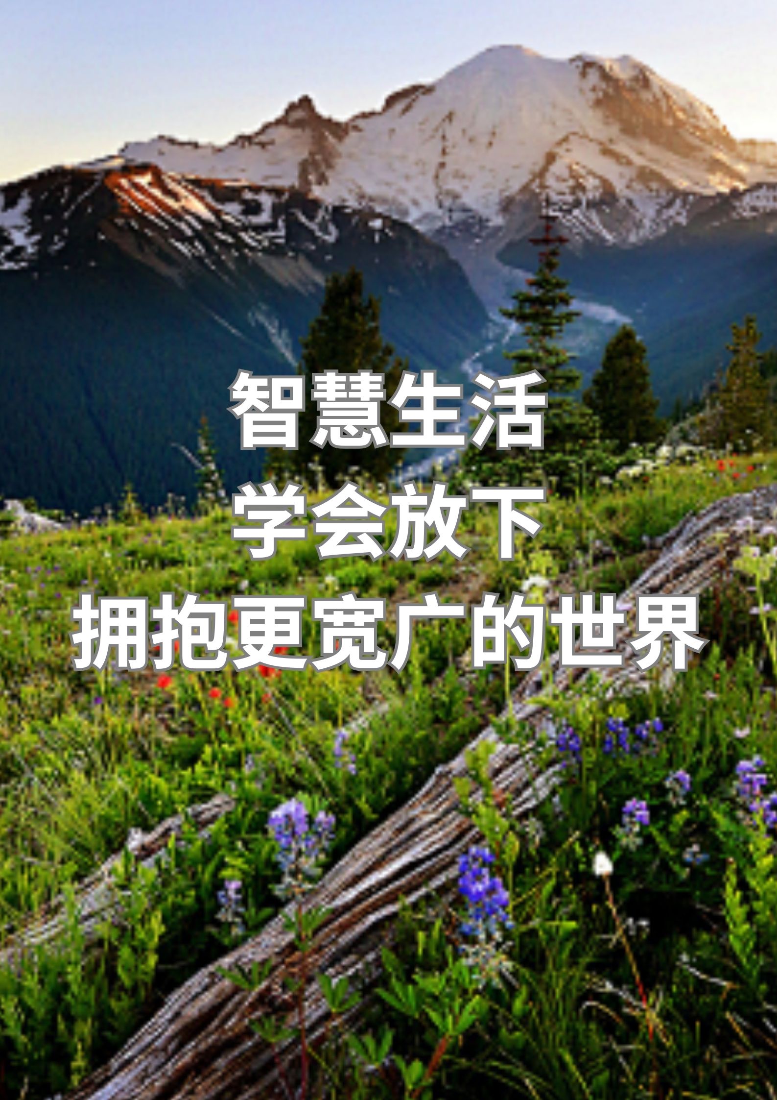 智慧生活：学会放下，拥抱更宽广的世界。