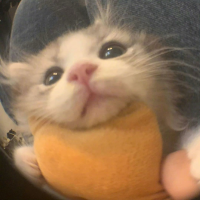 清风拂梦幽思长