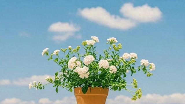 灵魂伴侣的三大特征：信任、舒适与成长