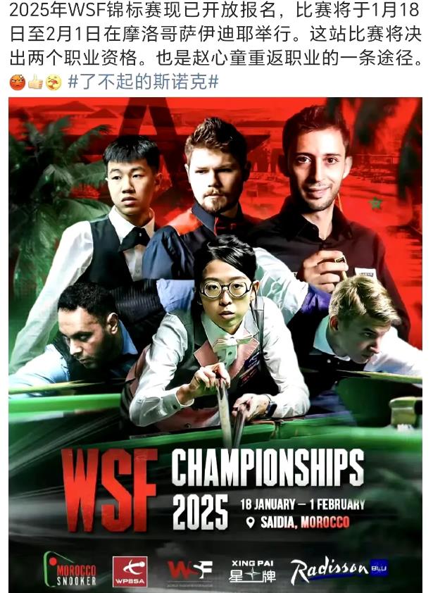 赵心童想要尽快取得职业资格，一般有三种方法：
1、英锦赛进入四强，赢得单赛季保级