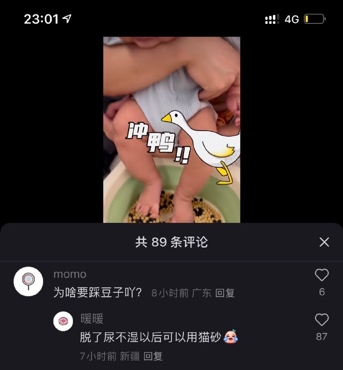 刚想研究一下早教