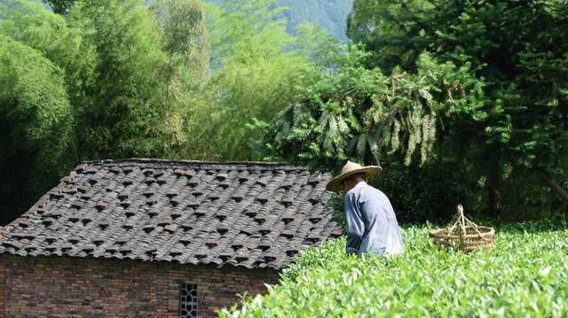 雇主姑姑带着孩子回来，让阿姨睡沙发，阿姨说，我要睡自己的卧室