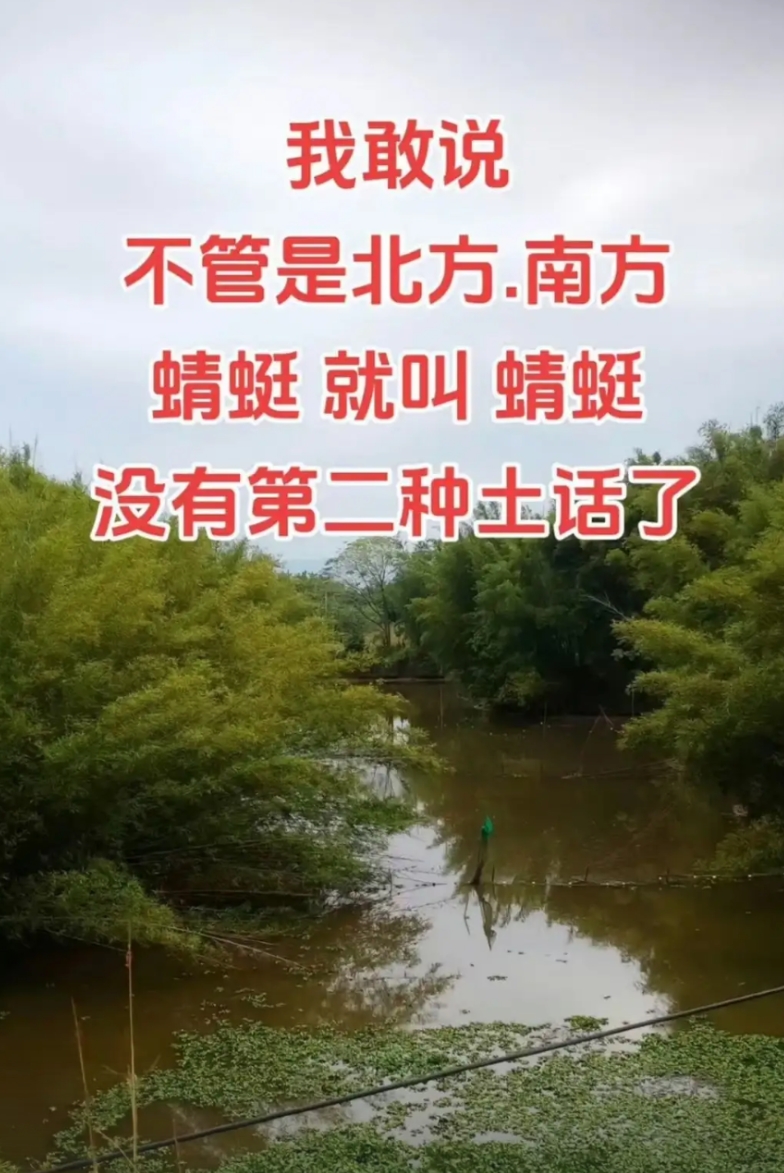 大家帮我想想办法吧。