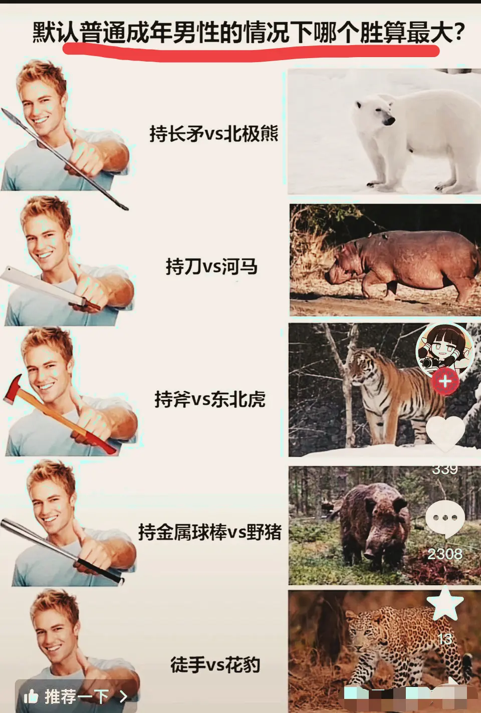 你觉得哪个胜算更大一些？