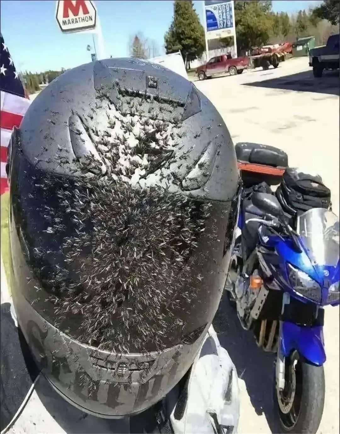 跑了一趟高速，如果不戴头盔，会是什么样子？