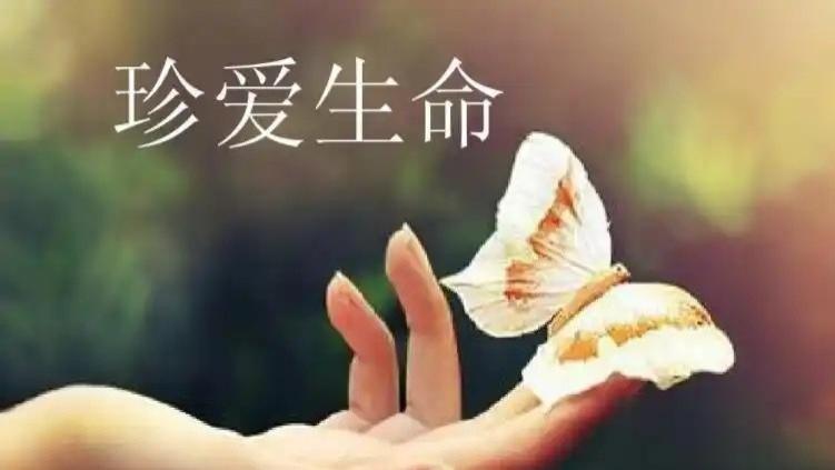 儿子开始懂得珍惜生命：从日常小事开始，培养同理心