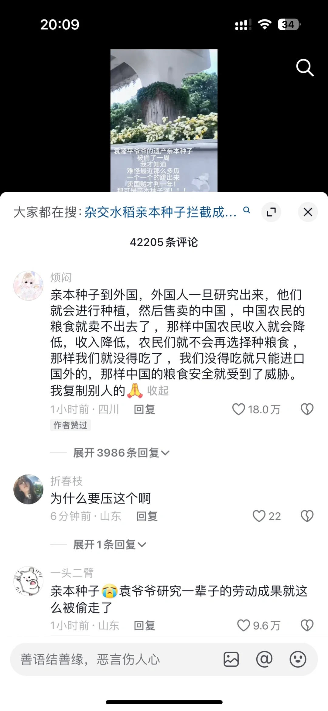 袁爷爷的亲本种子被偷，我竟然才知道
怪不得最近那么多瓜，原来是压热度的，间谍太过