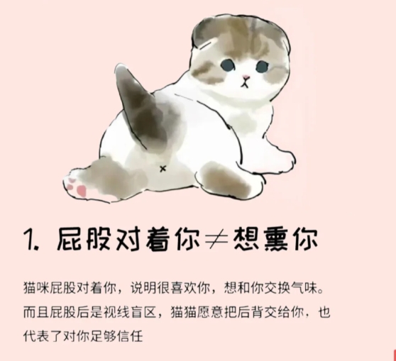 猫咪容易被误解的行为