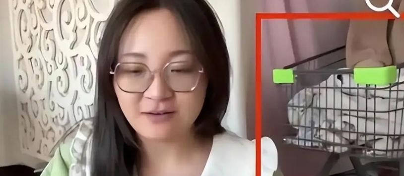 裤头姐怂了！
首先从胖东来顺来的购物车不见了，其次是之前维权的视频也连夜删除了，