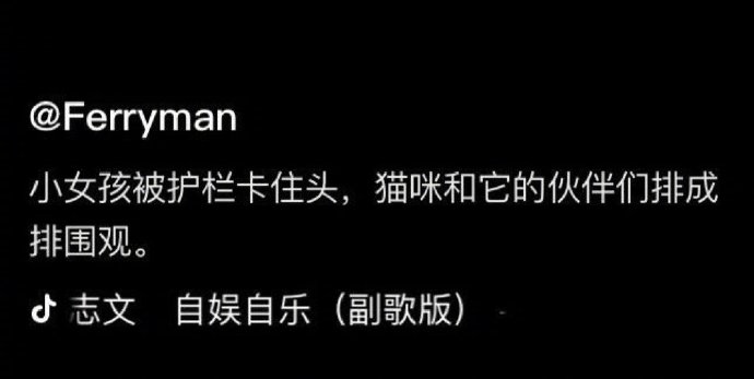 看热闹并不只是人类的本质