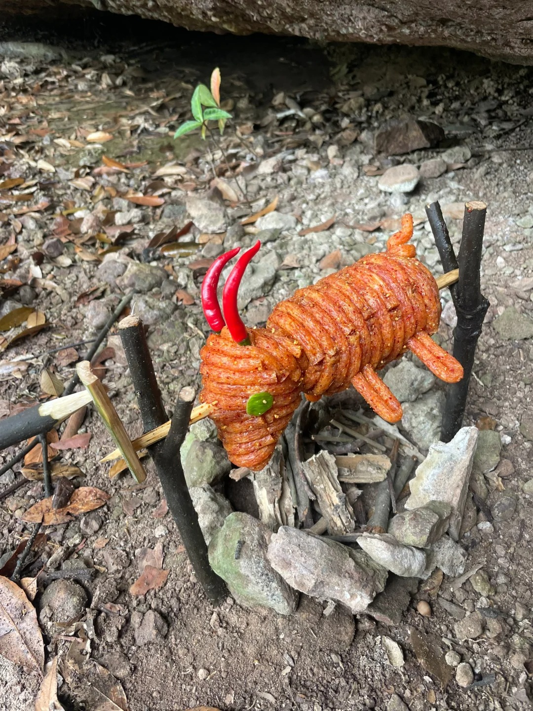 妈妈说少吃零食多吃肉，我听话了｜wildeat