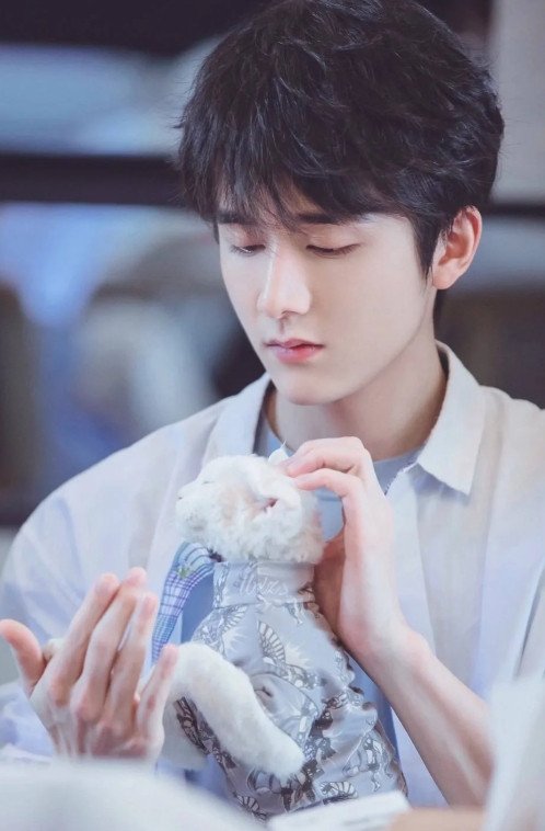 张新成：低调前行，实力不凡，未来可期