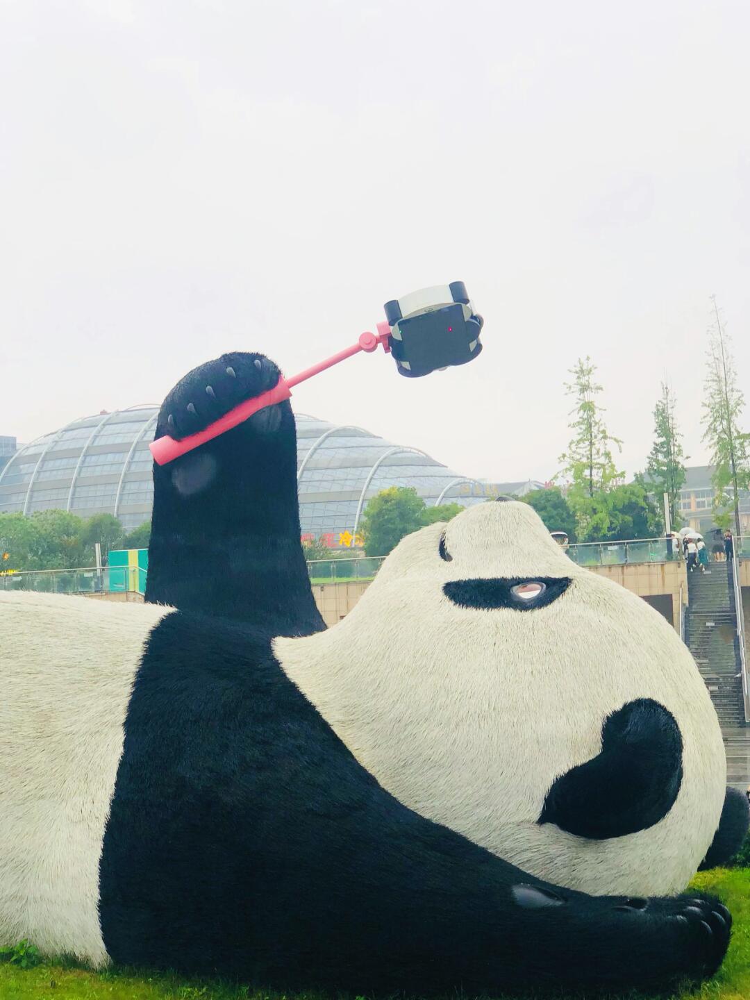 带娃成都之旅，我真的很后悔很后悔……
