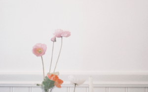 白月光归国，总裁却只爱我