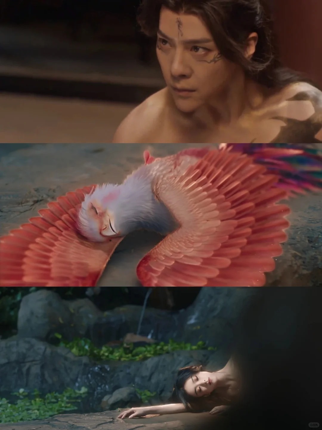 有其父必有其女💫
怎么？凤凰家族是有什么不成文的规定嘛，这父女俩第一次见自己爱