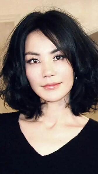 王菲与李亚鹏的婚姻历程