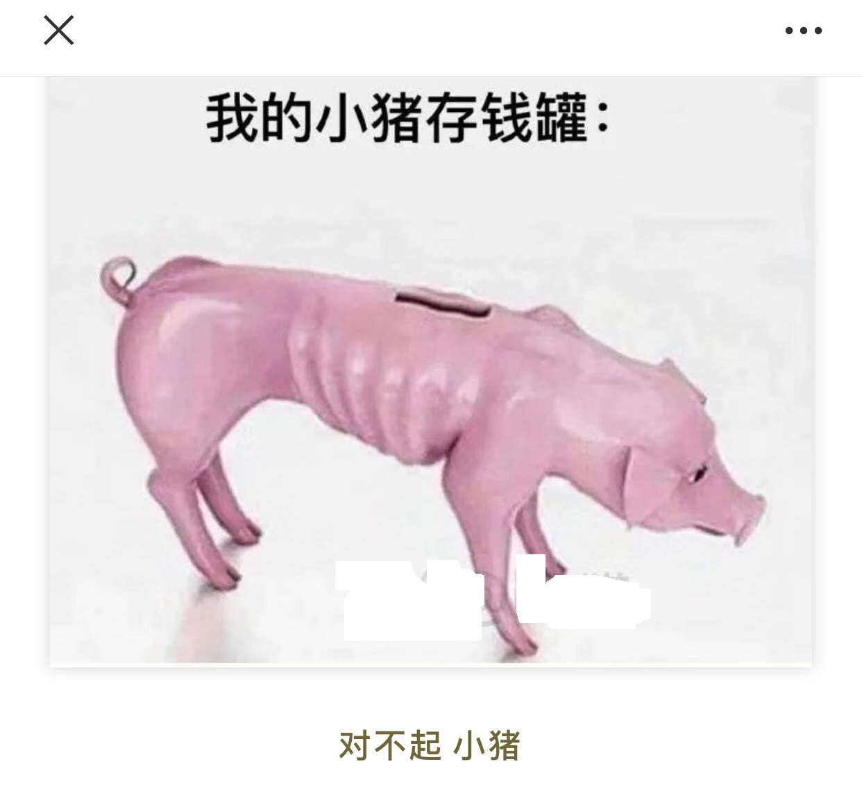 我的小猪存钱罐