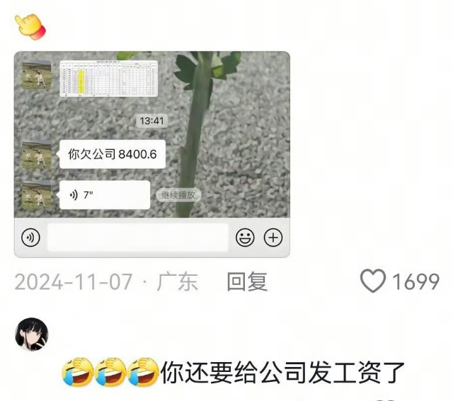你们到底是做什么工作的