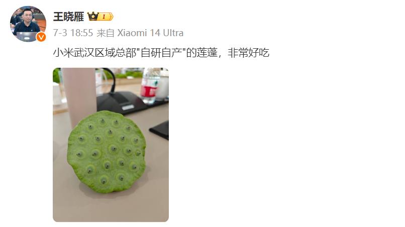 小米也自研自产莲蓬了。

小米副总裁王晓雁近日表示，小米武汉区域总部"自研自产"