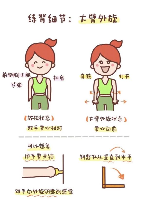 不可忽视的练背细节，减少斜方肌代偿！

关于练背如何沉肩并减少斜方肌代偿，之前已