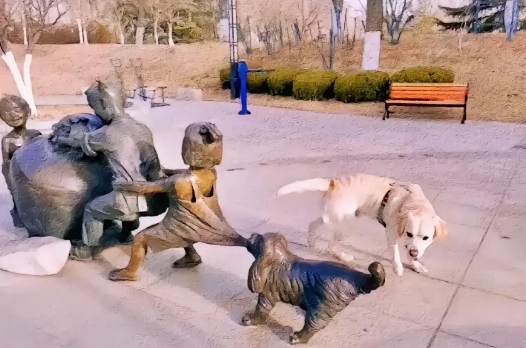 哈哈哈，笨笨的傻狗分不清直假