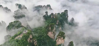 张家界旅游景区上半年又亏损了，亏损5800万到6300万，一个景区都快20个单独