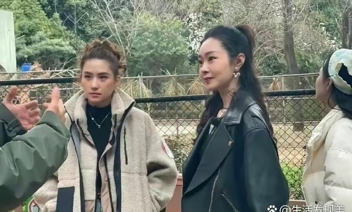 这应该就是明星和富家女的区别吧 