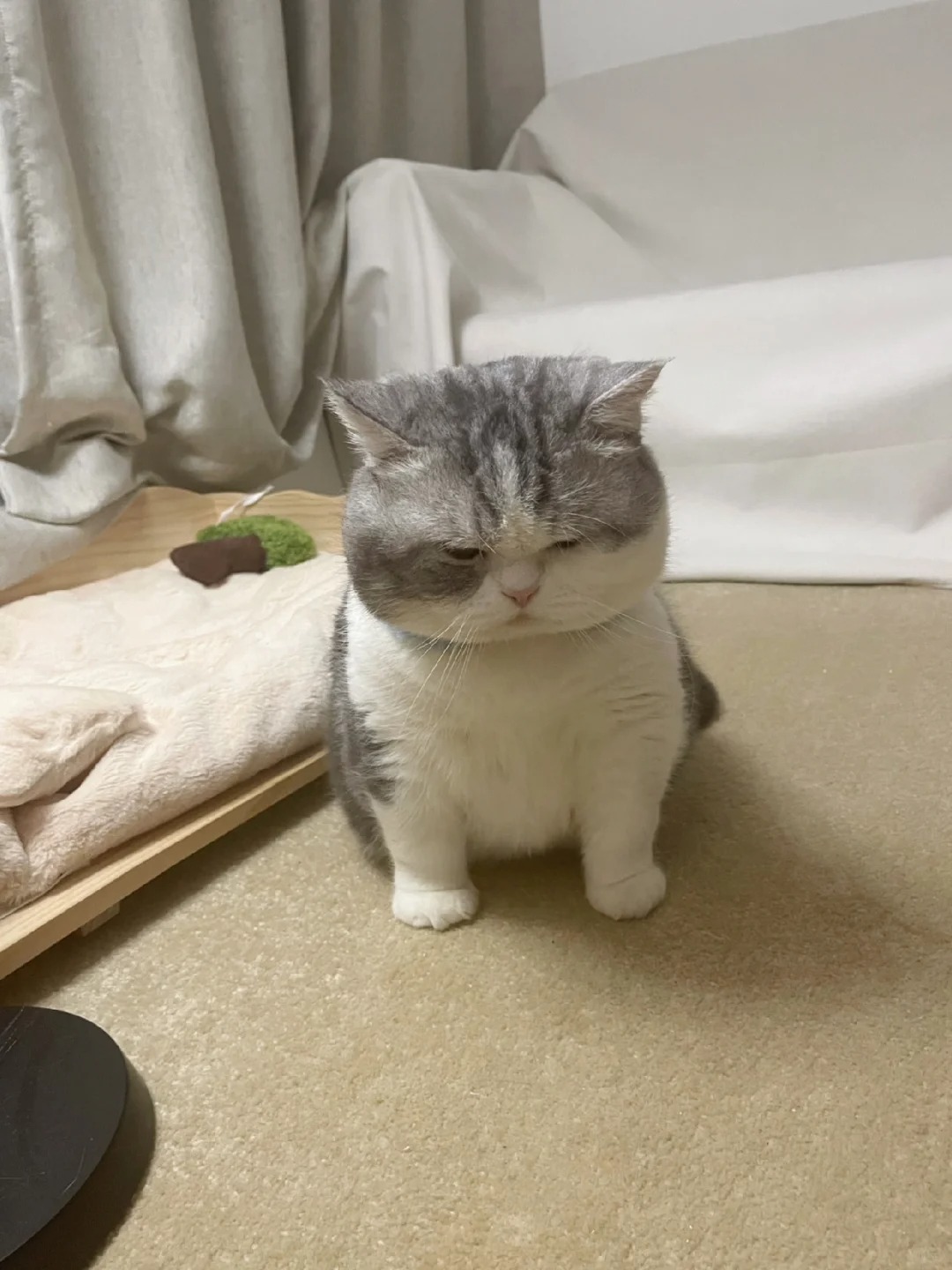 把它暖气关掉了
委屈的它：你把哥的幸福关掉了..