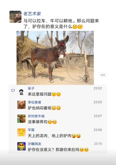 驴存在的意义是什么