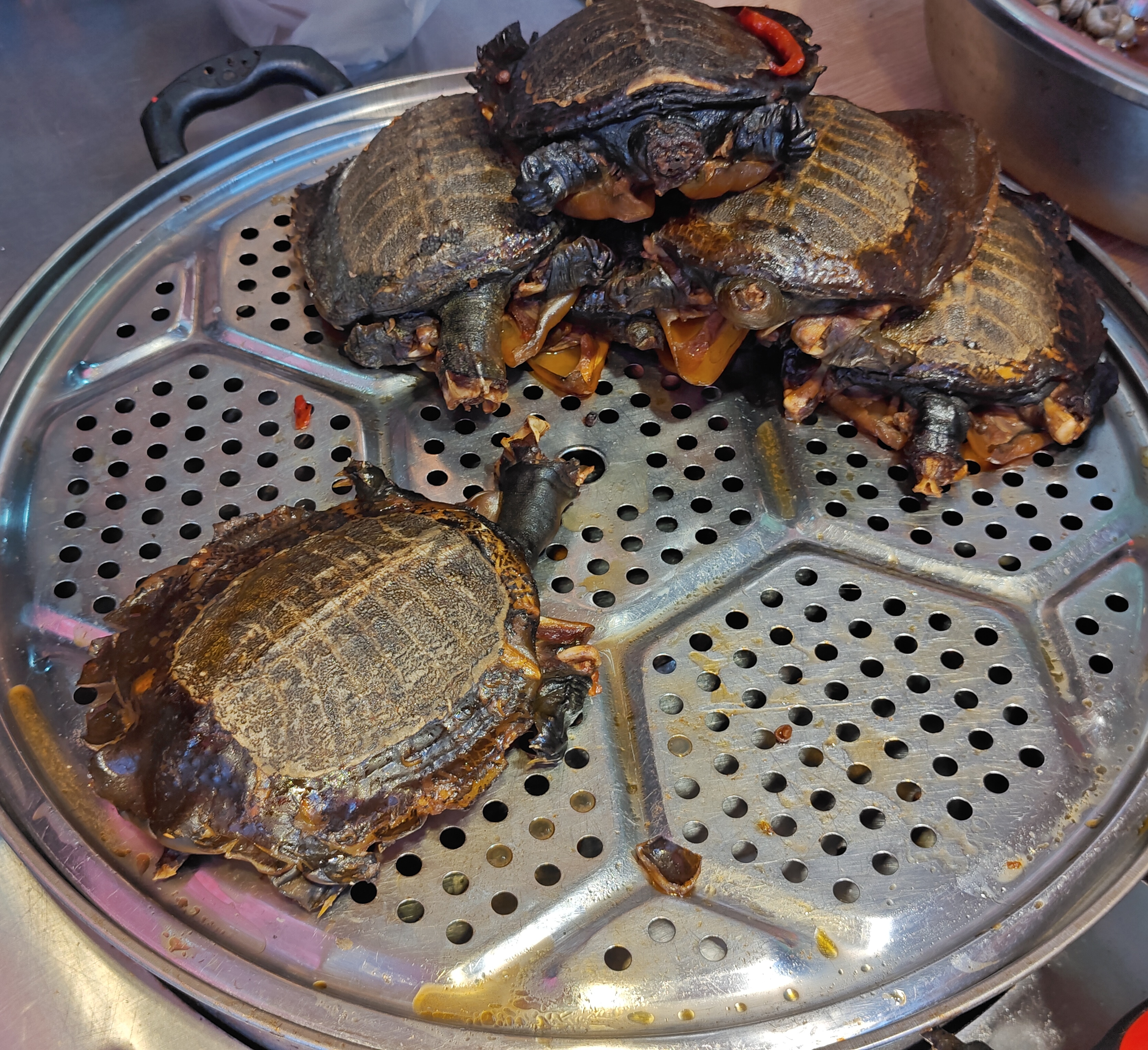 小甲鱼有点渗人。。好吃是好吃的。#长沙# 上碧湘街