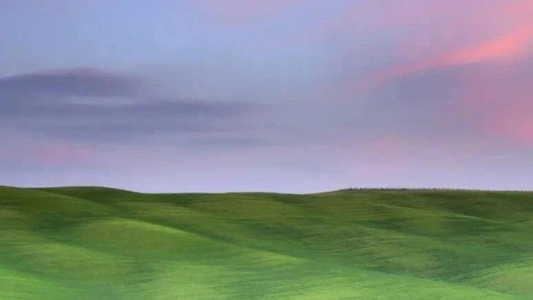 夏天喝水都变胖？这些中药是减肥的“好帮手”