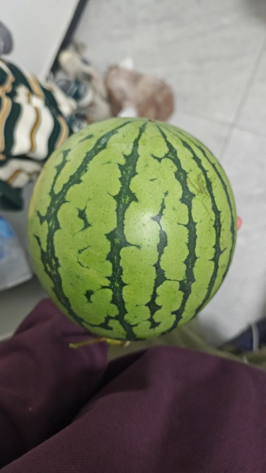 吃瓜这样的西瓜吗