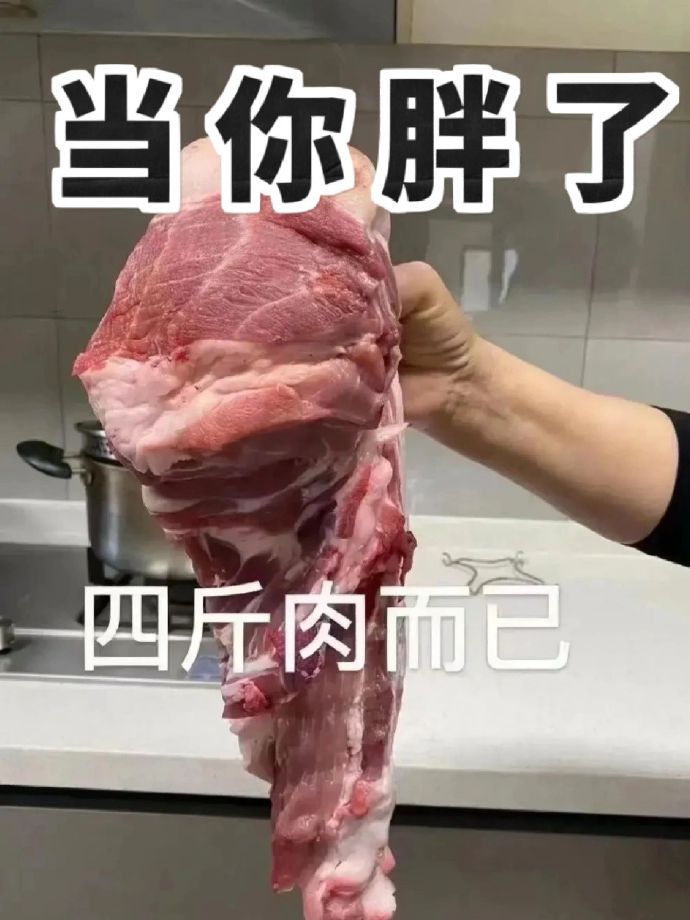 我也就图一而已，完全不怂