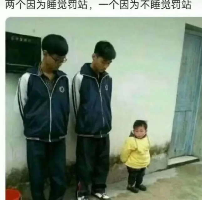 人类的其实睡眠并不相通